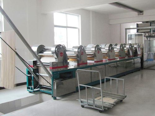 全自動(dòng)方便面生產(chǎn)線廠家Top3推薦 云龍食品等企業(yè)的技術(shù)創(chuàng)新與制造優(yōu)勢